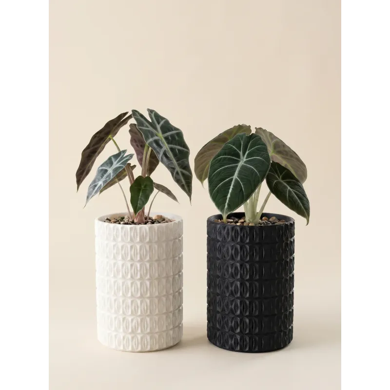Geometri Desenli Saksı – Küçük Silindir Saksı