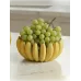 Banana Fruit Bowl